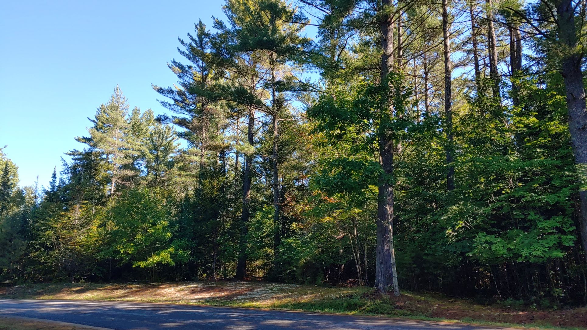 The Preserve at Gore presented by Gore Mountain Real Estate